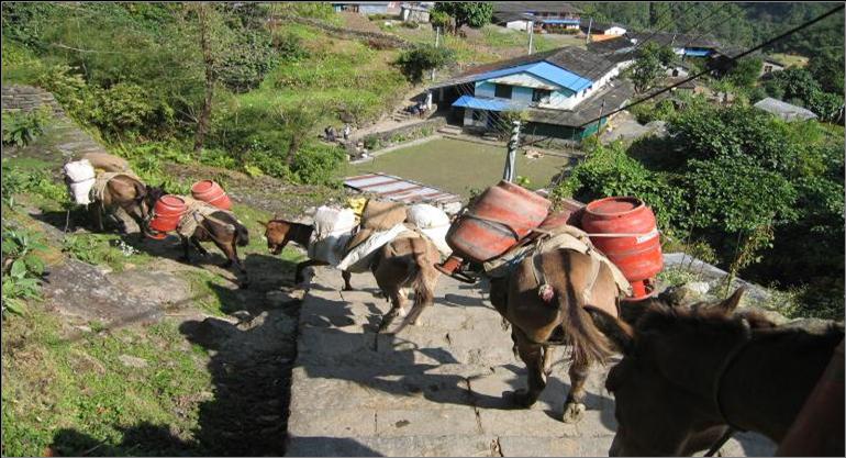 Trekking your way to the summit is a process activity which needs careful controls in order to ensure a smooth ascent.